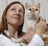 cat1